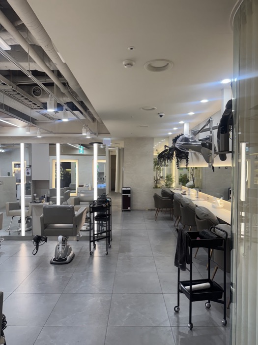 HANNA hair work