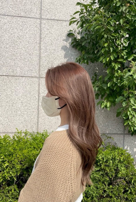 SORA — 이미지 수
